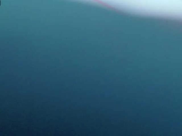 AvaWhitecastle from BongaCams